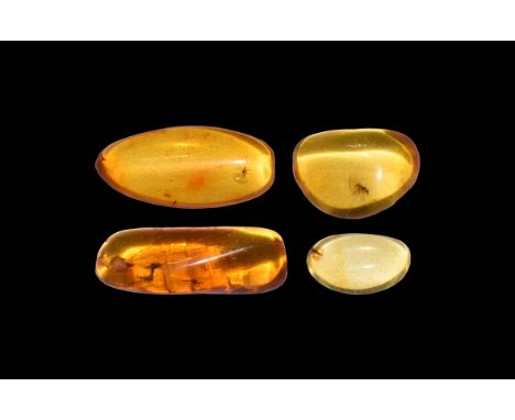 Oligocene Period, 45 million years BP. A group of four pieces of clear Baltic amber each containing flies or other insects to