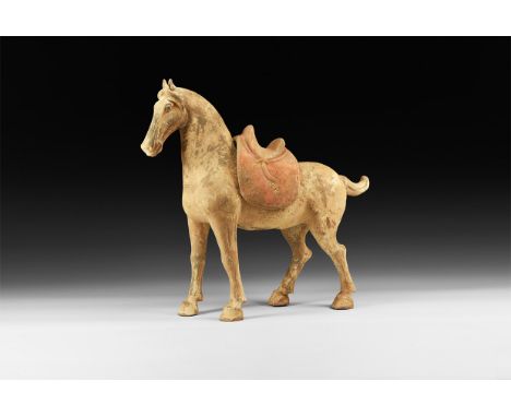 Tang Dynasty, 618-907 AD. A large ceramic figure of a standing horse, head held up and mouth slightly open, mane brushed forw