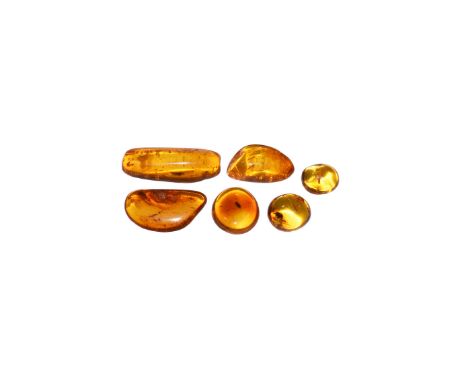 Oligocene Period, 45 million years BP. A group of six pieces of clear sun–orange coloured Baltic amber each containing flies 