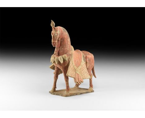 Tang Dynasty, 618-907 AD. A ceramic figure of a horse with harness to the head, tuft of mane pulled up on the top of the head