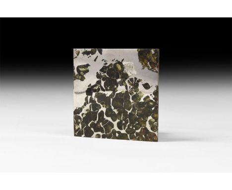 A highly polished square slice of the Seymchan meteorite with an exceptional number of transparent to translucent olivine inc