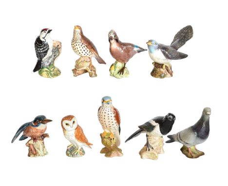 Beswick Birds Including: Lesser Spotted Woodpecker, model No. 2420, Kingfisher, model No. 2371 and Songthrush, model No. 2308