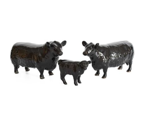 Beswick Aberdeen Angus Cattle Comprising: Bull, model No. 1562, Cow, model No. 1563 and Calf, model No. 1827A, all black glos