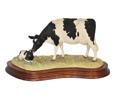 Border Fine Arts 'Holstein Friesian Cow And Calf', model No. B0309 by Kirsty Armstrong, limited edition 736/1750, on wood bas