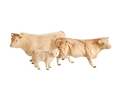 Beswick Charolais Cattle Comprising: Bull, model No. 2463A, Cow, model No. 3075A and Calf, model No. 1827B, all cream gloss (