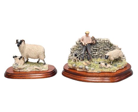 Border Fine Arts 'Safe Delivery' (Shepherd with Ewe Lambing), model No. JH96 by Ray Ayres, limited edition 314/1500, on wood 