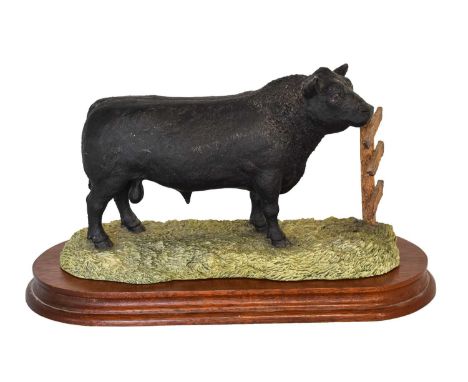Border Fine Arts 'Aberdeen Angus Bull' (Style One), model No. L59 by Ray Ayres, limited edition 498/500, on wood base, with c