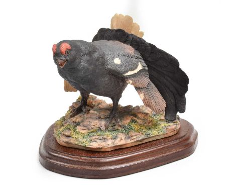 Border Fine Arts 'Black Grouse', model No. 044 by David Geenty, on wood baseNo box; no certificate; the very tip of the beak 