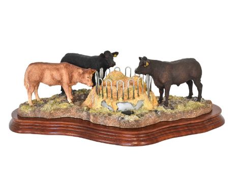 Border Fine Arts 'Winter Rations' - First Version - (Three quarter Limousin Cross Steers), model No. B0581 by Kirsty Armstron
