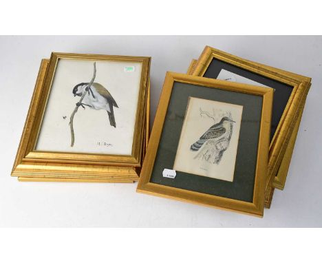 M. J. PHEYSEY (British, 20th century); watercolour, study of a sparrow on a twig, signed, 24 x 19cm, framed and glazed, toget