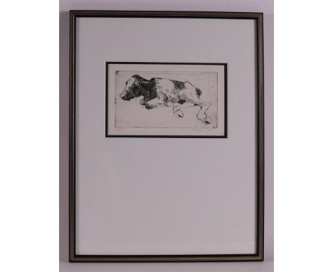 Pander, Pieter (Drachten (Garijp) 1962-) "Calf", signed in full in pencil l.r. and '07, etching/paper no. 67/100, h 10 x w 18