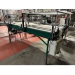 Concept Systems Model D 48 SP Bottle Feeder Conveyor Table (Approx. 50" x 115") | Rig Fee $450