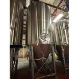 Blackstone Ventures 100 BBL Stainless Steel Fermentation Tank - Cone Bottom, Glycol | Rig Fee $2050