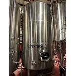 Blackstone Ventures 100 BBL Stainless Steel Brite Tank - Dish Bottom, Mandoor, Carb | Rig Fee $2050
