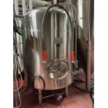 Blackstone Ventures 30 BBL Stainless Steel Brite Tank - Dish Bottom, Mandoor, Carb | Rig Fee $1000