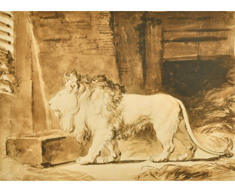 A print of an Old Master study of a Lion, 13.5" x 18.5", (unframed).