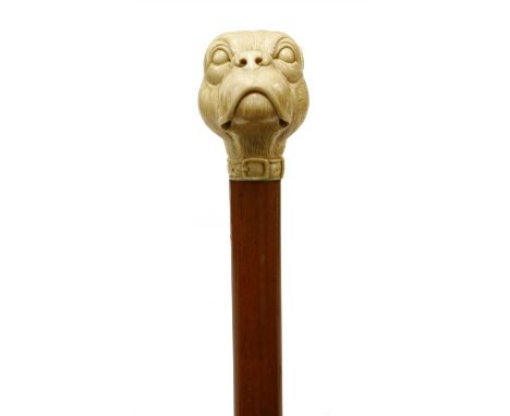 An ivory and malacca walking stick , 19th century, the well carved handle in the form of a French bulldog above a plain taper