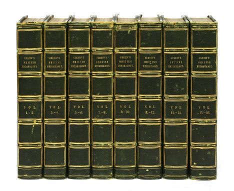 CURTIS, John: British Entomology: being illustrations and descriptions of the Genera of Insects found in Great Britain and Ir