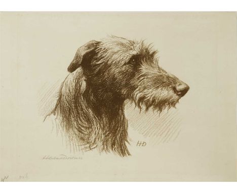 Herbert Thomas Dicksee RE (1862-1942)  HEAD OF A DEERHOUND  Lithograph on wove, signed in pencil, 20 copies only - stone dest