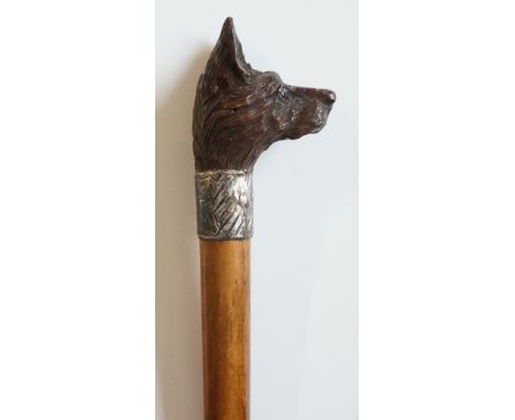A walking stick with finely carved dog's head, silver collar, tapered shaft, 88.5cm long