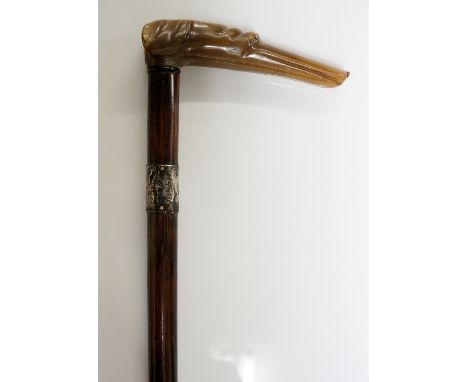 A late 19th Century walking stick the horn handle carved as a dog's head, silver collar, brass ferrule, 87cm long