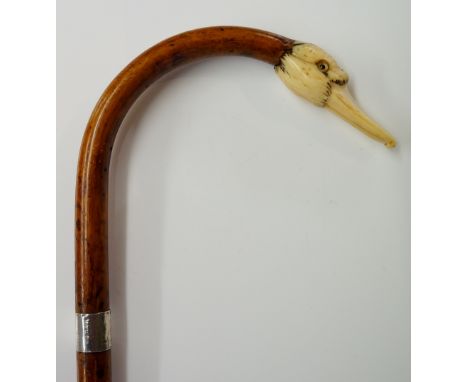 A Bentwood walking stick with ivory duck's head terminal, glass eyes, silver collar, brass ferrule, 97cm long (faults)