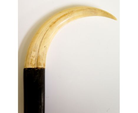 An ebonised walking stick the tapered shaft with tusk handle, 92cm long