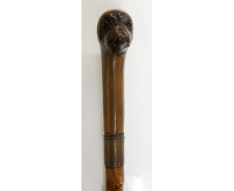 A briar wood walking stick the terminal carved with a pug's head, glass eyes and brass collar, brass ferrule, 84cm long 