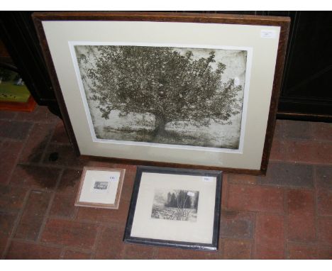 A Limited Edition print - 14 of 60 - entitled 'Apple Tree' by TKUBECKI, together with PETER FORD Artist's proof and ANN TOUT 