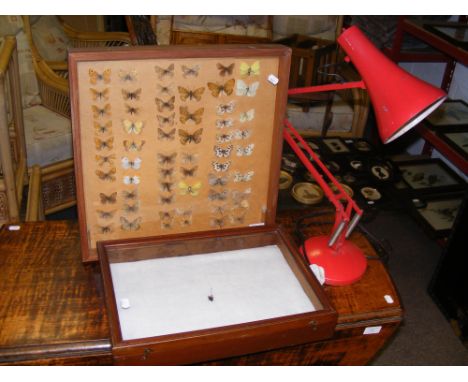 A red Anglepoise style lamp, together with butterfly montage and one other case  CONDITION REPORT Butterfly display cabinet 4
