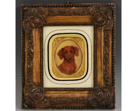 Kay Gray (20th century), a canine portrait miniature, of a red dachshund, half-length, oval, signed, watercolour, 6.5cm x 5cm