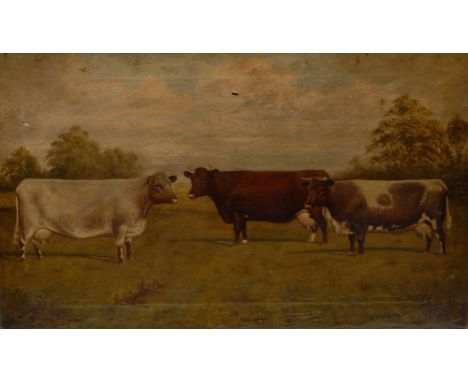 William Albert Clark (Journeyman Artist fl.1899 - 1936)Cattle Portrait, Witch, Beauty and Faithfulsigned, inscribed, dated 19