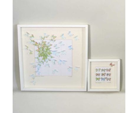 C M Macleod, contemporary, British Isles Butterflies, printed cut paper, signed in pencil by the artist, 49 x 49cm, together 