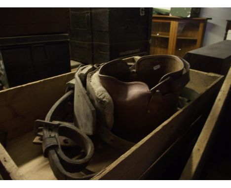 A shallow wooden crate containing a selection of vintage leather horse harness, bits, leather nose bag, etc