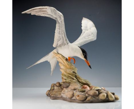 A superb limited edition porcelain sculpture by Boehm, portraying the common tern (Sterna hirundo) in a vivid moment of mater