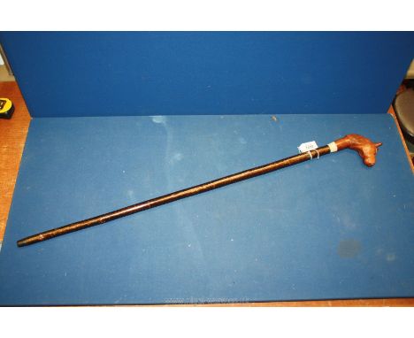 A walking Stick with carved horse knob and hazel shaft.