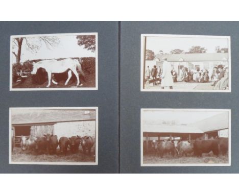 Photographs, Rural Life, circa 1900, a collection of 45 good quality images of rural scenes to include cattle, horses, huntin