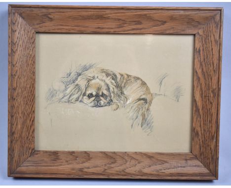 A Small Oak Framed Print of a Pekinese, 20x15cm 