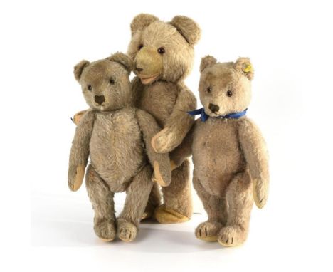 3 Teddys2x Steiff, 1x A. Linzer, Großwallstadt bei Aschaffenburg. 2x mit Knopf im Ohr. 1950er-1960er Jahre.             Mohai