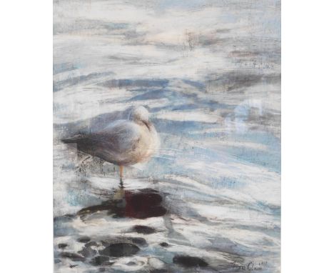 Fiona Clucas (20thC School). Seagull in blue seascape, signed and dated 1997, oil on linen, 50cm x 41cm, framed. 