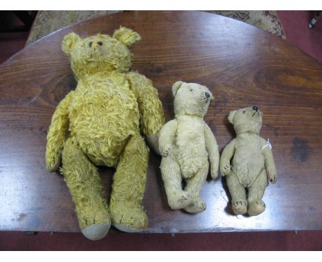 Gold Plush Teddy Bear circa Mid XX Century, with moveable limbs (growler box not working, eyes absent) 46cm high, two smaller