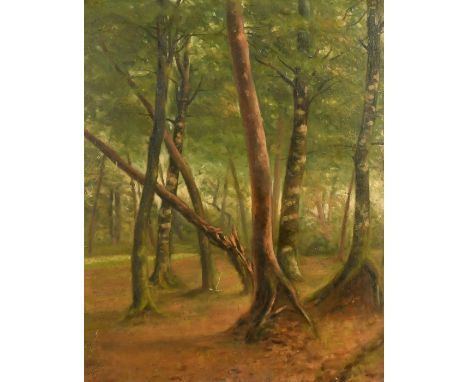 19th Century French School, a study of trees in a woodland glade, oil on mahogany panel, 18" x 14.75" (46 x 37cm).
