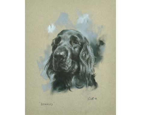 'Berkeley', A pastel portrait of a flat-coated retriever, pastel, indistinctly signed, 11" x 9".