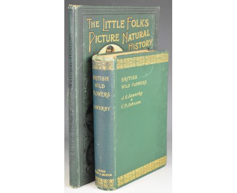 British Wild Flowers illustrated by John E. Sowerby described by C. Pierpoint Johnson published Gurney &amp; Jackson 1902 re-