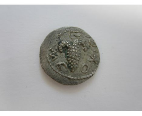 Judaea,Bar Kokhba 2nd revolt 132-135 CE, Ar Zuz/denarius, Bunch of grapes and small branch, R.Upright palm branch year 2. Hen