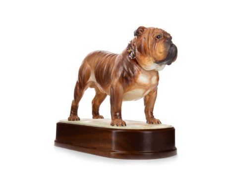 DORIS LINDNER FOR ROYAL WORCESTER, THE BULLDOG, CIRCA 1968 no. 396/500, stamped marks, on plinth, with certificate24cm wide