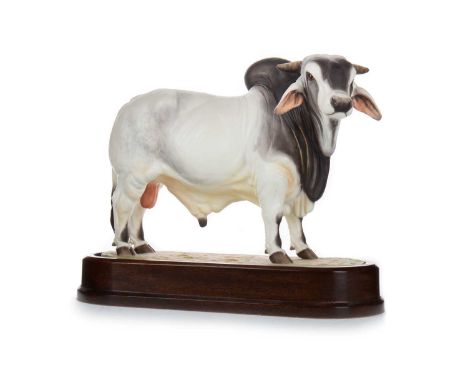 DORIS LINDNER FOR ROYAL WORCESTER, BRAHMAN BULL, CIRCA 1968 no. 393/500, stamped marks, on plinth, with certificate25cm wide 