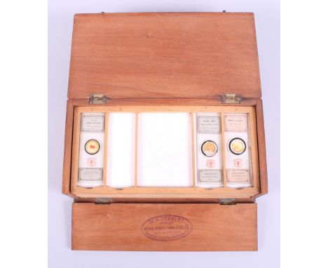 A quantity of microscope slides by W F Stanley, including a liver of a cat, a human kidney, an umbrella plant and others