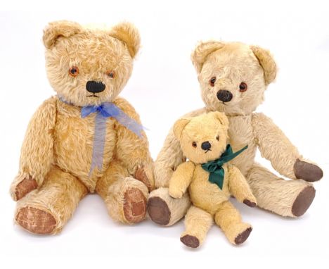 Chad Valley vintage teddy bears x three, 1950s/60s: (1) "Duke", golden mohair, black vertically stitched coal nose, label to 