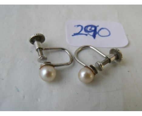 Small pair 9ct pearl ear clips      
